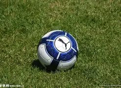 埃梅里点赞,这场,分战果宝贵,太阳城娱乐平台,太阳城娱乐官网,太阳城娱乐城