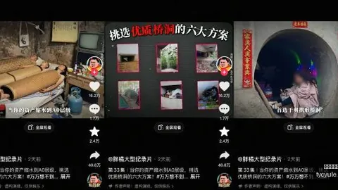 2020掌趣科技年报：业绩持续攀升，三大亮点预见未来辉煌前景